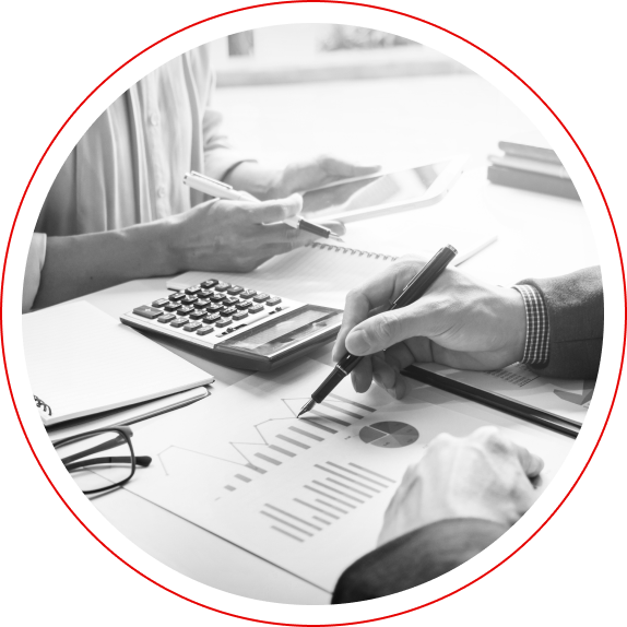 Graphical representation of the budget and milestones for Alessi's redesign project